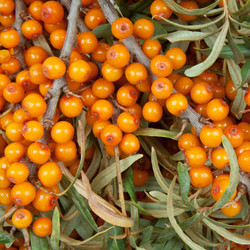 Similar image 834185