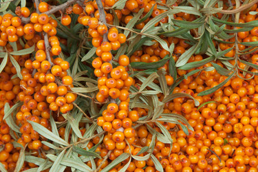 Similar image 834186