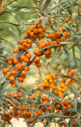 Similar image 834187