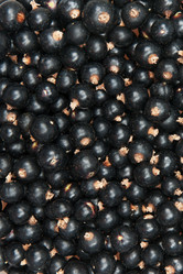 Similar image 834191