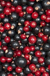 Similar image 834196