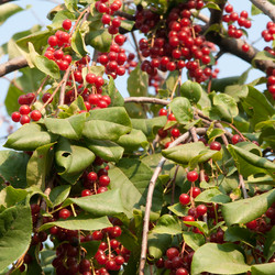 Similar image 834200