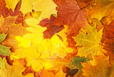 Similar image 834211