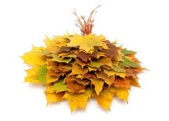 Similar image 834240