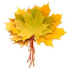 Similar image 834241