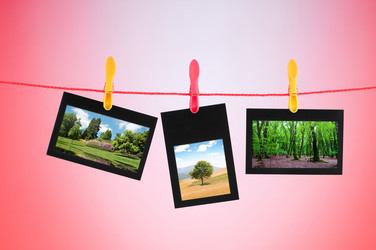 Similar image 834244