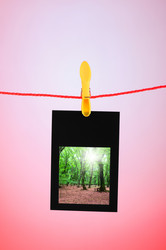 Similar image 834247