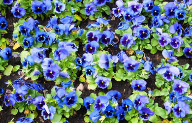 Similar image 834260