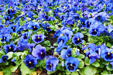 Similar image 834261