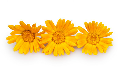 Similar image 834283