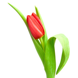 Similar image 834284