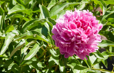 Similar image 834298