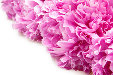 Similar image 834301