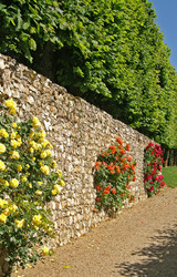 Similar image 834309