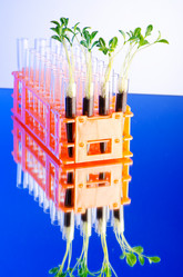 Similar image 834344