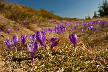 Similar image 834364