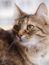 Similar image 834387