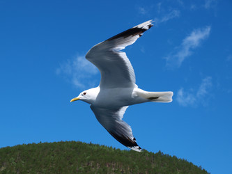 Similar image 834469