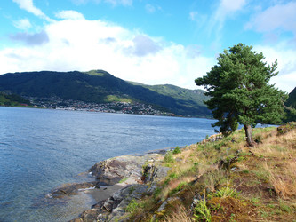 Similar image 834475