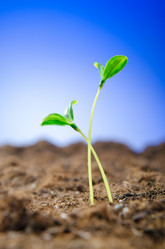 Similar image 834478