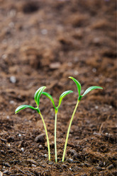 Similar image 834480