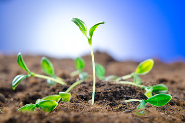 Similar image 834482