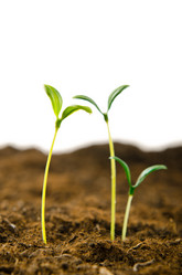 Similar image 834487