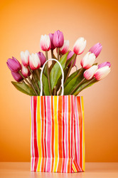 Similar image 834511