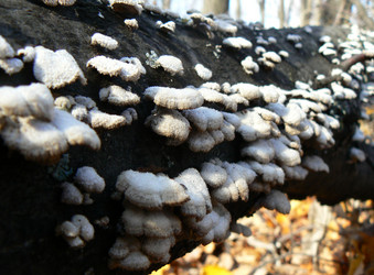 Similar image 834534