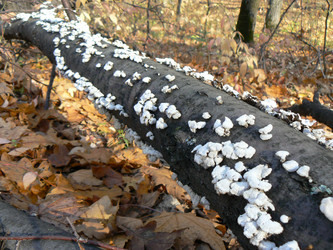 Similar image 834535