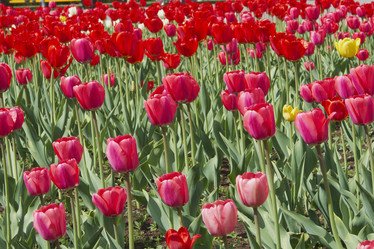 Similar image 834606