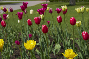 Similar image 834614