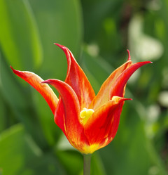 Similar image 834621