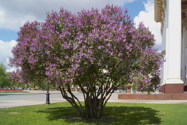 Similar image 834652