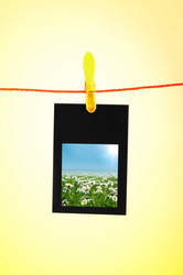 Similar image 834682