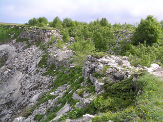 Similar image 834744