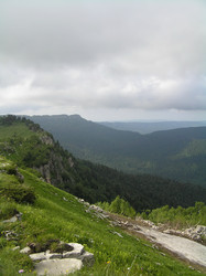 Similar image 834745