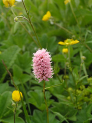 Similar image 834759