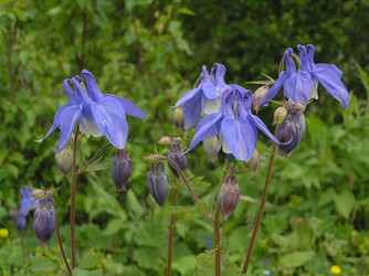 Similar image 834760