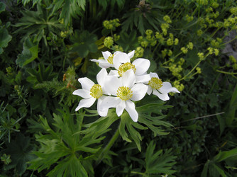 Similar image 834764