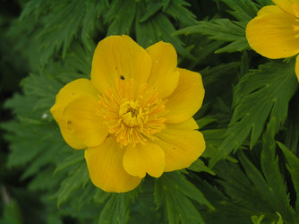 Similar image 834765