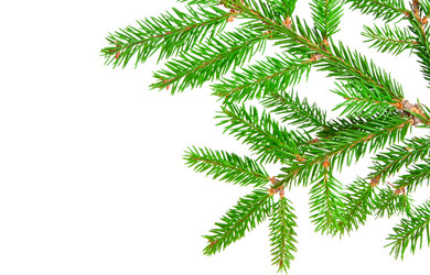 Similar image 834801