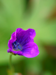 Similar image 834880