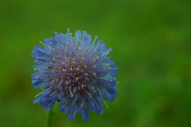 Similar image 834881