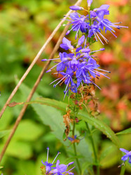 Similar image 834895