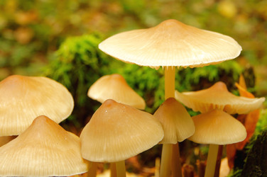 Similar image 834900