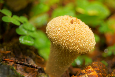 Similar image 834901