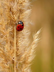 Similar image 834905