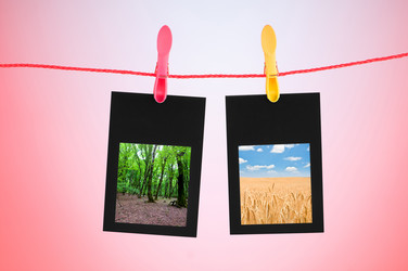 Similar image 834954