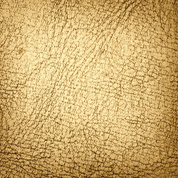 Similar image 834984